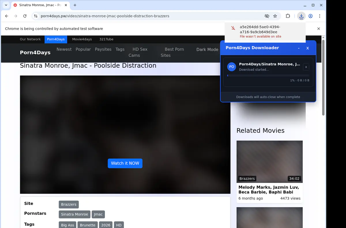 Porn 4 Days Video Downloader browser extension screenshot 2