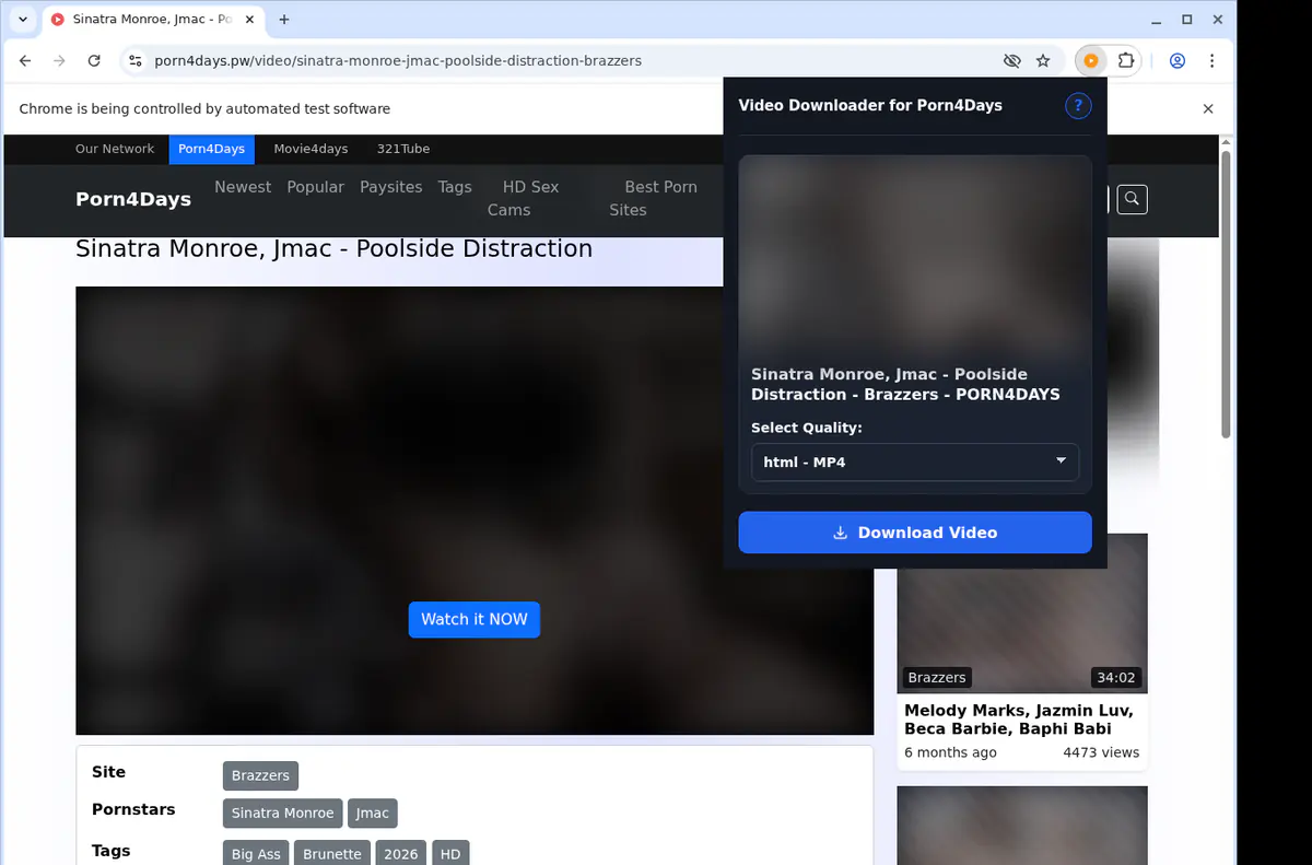 Porn 4 Days Video Downloader browser extension screenshot 3