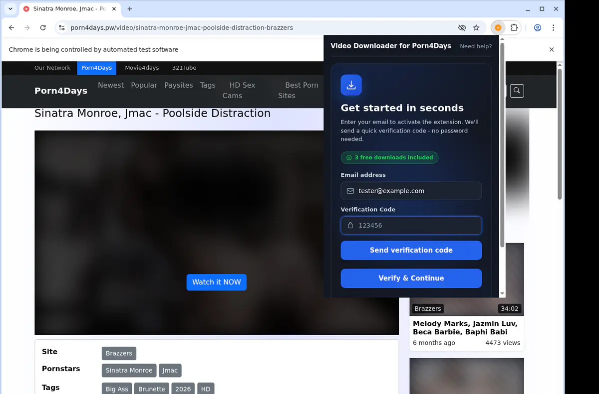 Porn 4 Days Video Downloader browser extension screenshot 4
