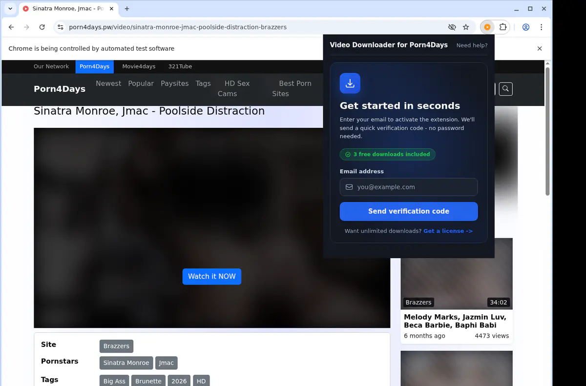 Porn 4 Days Video Downloader browser extension screenshot 5
